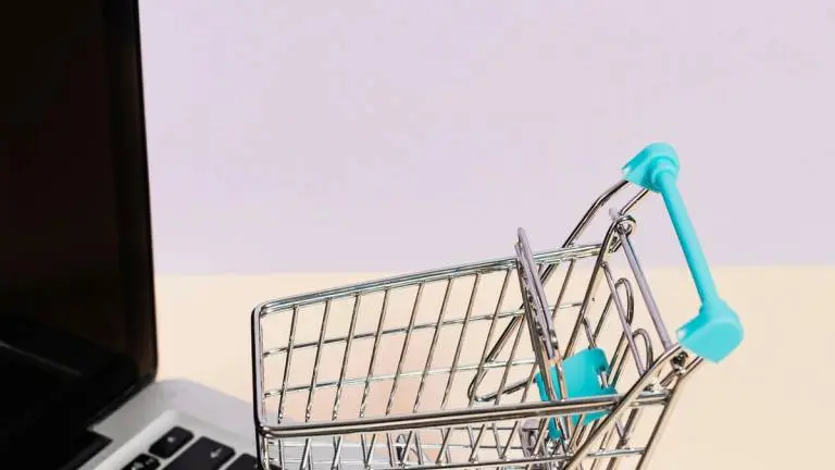 Ultimate Guide to Start Shopify Dropshipping in 2024